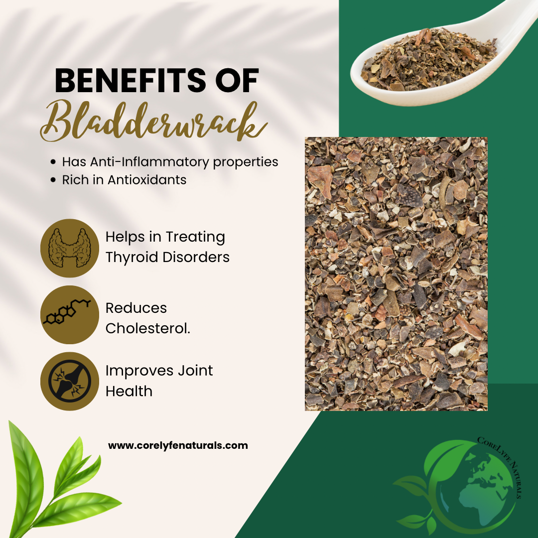 Bladderwrack (Powder)