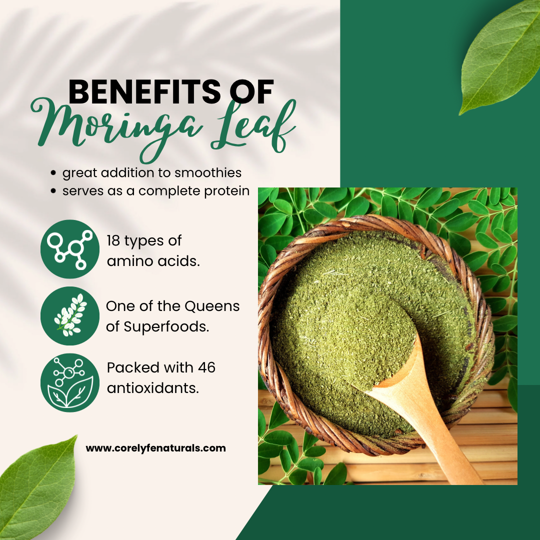 Moringa Leaf (Powder)