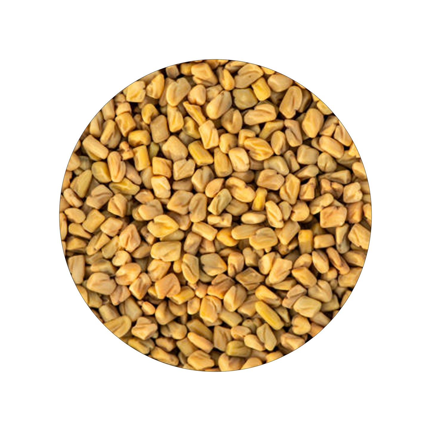 Fenugreek Seed