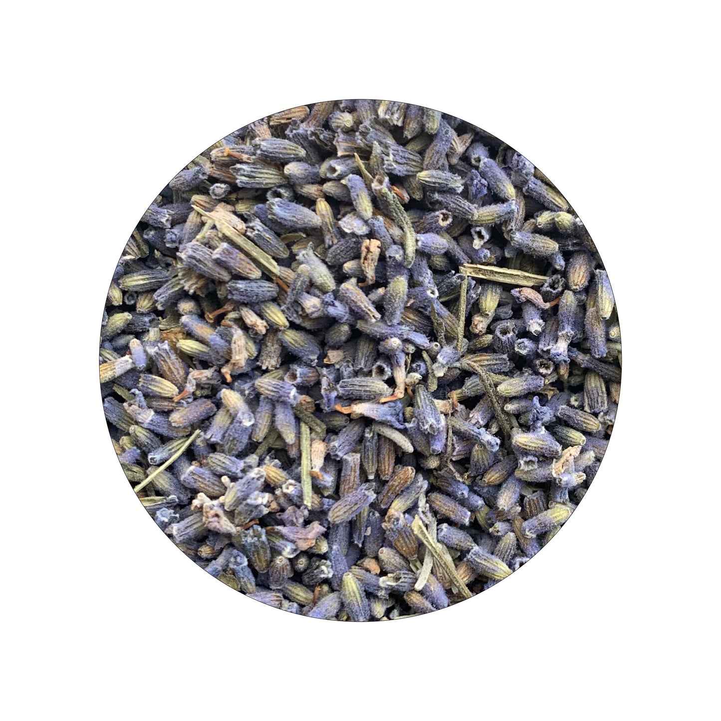 Lavender Bud