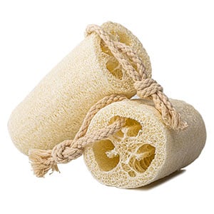 Luffa Gourd