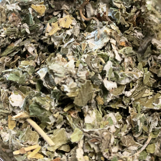 Red Raspberry Leaf | Herbal Tea