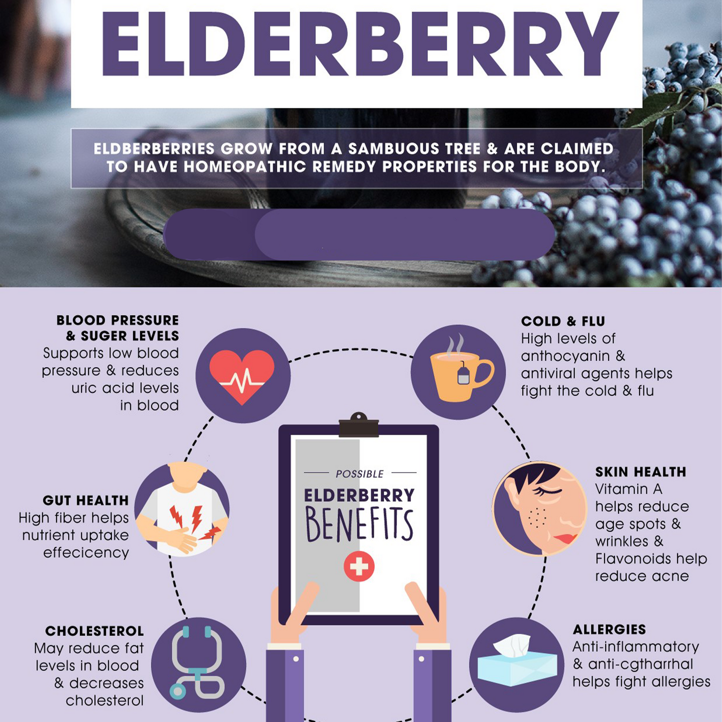 Elderberry Syrup