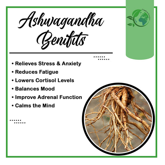 Ashwagandha Capsules