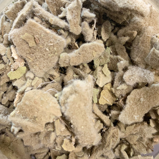 Lung Relief | Herbal Tea